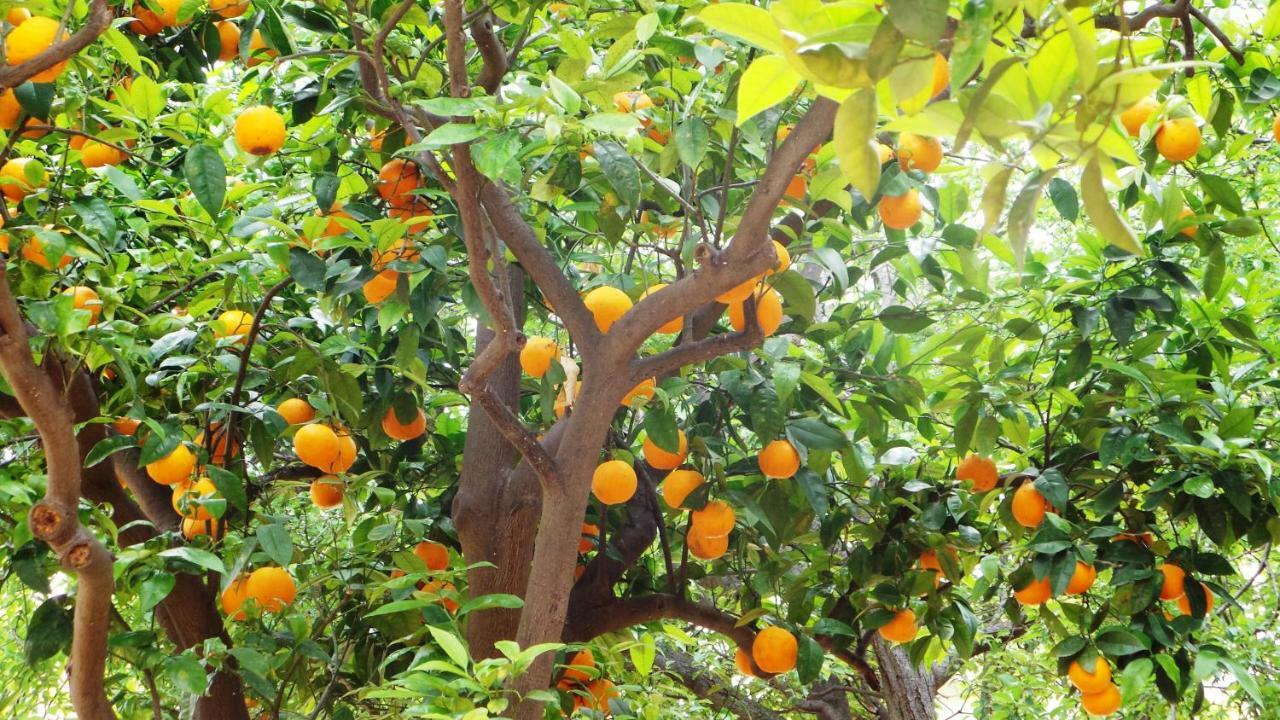 مبيت وإفطار كوارتو سانتيلينا Oasi Ottocento المظهر الخارجي الصورة