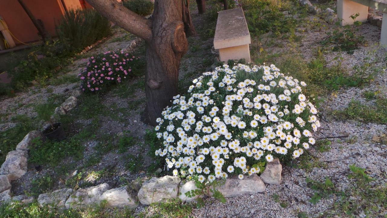 مبيت وإفطار كوارتو سانتيلينا Oasi Ottocento المظهر الخارجي الصورة